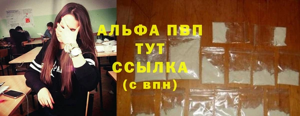 спиды Лагань