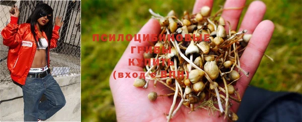 МДМА Куйбышев