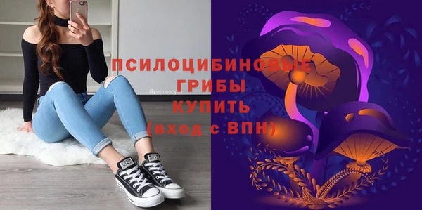 спиды Лагань