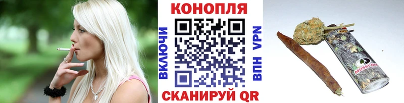 Бошки марихуана индика  Купить закладки  Новотроицк 
